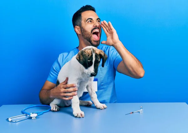 Bell Uomo Veterinario Ispanico Con Barba Che Controlla Salute Del — Foto Stock