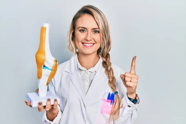 Krásná Mladá Blondýnka Doktorka Drží Anatomický Model Kolenního Kloubu Úsměvem — Stock fotografie