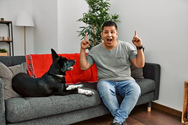 Jovem Latino Homem Cão Sentado Sofá Casa Sorrindo Espantado Surpreso — Fotografia de Stock