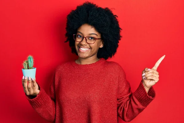 Giovane Donna Afroamericana Che Tiene Piccolo Vaso Cactus Sorridente Felice — Foto Stock