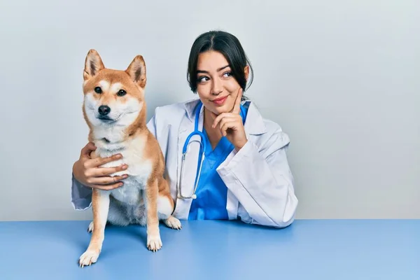 Güzel Spanyol Veteriner Kadın Köpek Sağlığını Kontrol Ediyor Ciddi Yüz — Stok fotoğraf