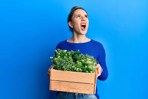 Fiatal Szőke Kezében Növény Pot Dühös Őrült Sikoltozó Frusztrált Dühös — Stock Fotó