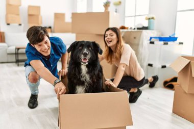 Kafkasyalı genç bir çift gülümsüyor mutlu bir şekilde köpekleri yeni evlerinde karton kutuya taşıyorlar..