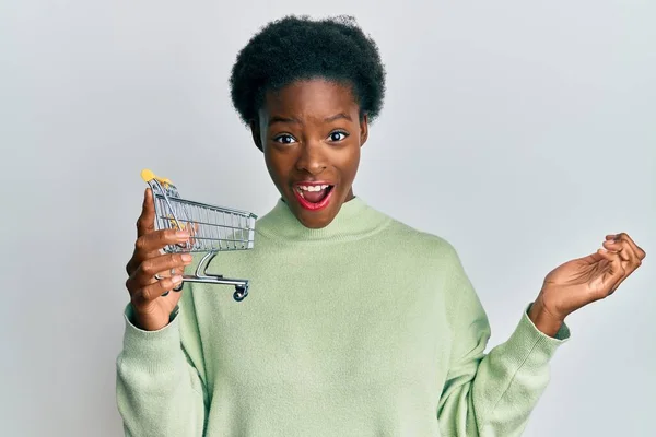 Joven Afroamericana Chica Sosteniendo Pequeño Supermercado Carrito Compras Gritando Orgulloso — Foto de Stock