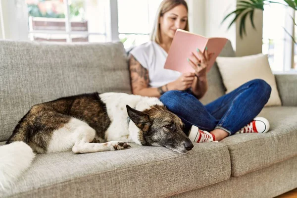 Jovem Caucasiana Sorrindo Feliz Sentado Sofá Com Livro Leitura Cães — Fotografia de Stock