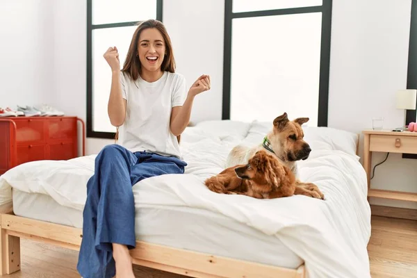Junge Brünette Frau Sitzt Auf Dem Bett Zwei Hunde Schreien — Stockfoto
