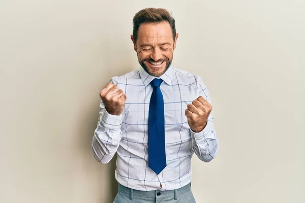 Middle Age Businessman Wearing Business Shirt Tie Celebrating Surprised Amazed — Stock Photo, Image