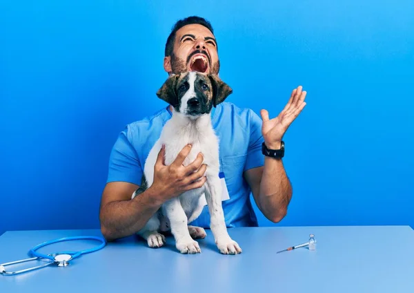 Красивый Латиноамериканец Ветеринар Бородой Проверяющий Здоровье Собаки Сумасшедший Кричащий Кричащий — стоковое фото