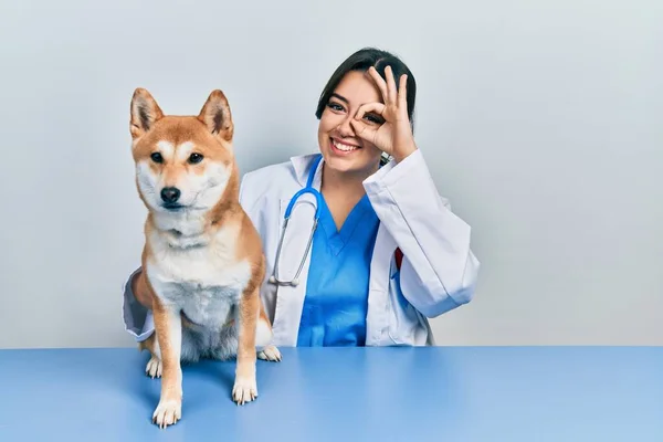 Bela Veterinária Hispânica Mulher Verificando Saúde Cão Sorrindo Feliz Fazendo — Fotografia de Stock