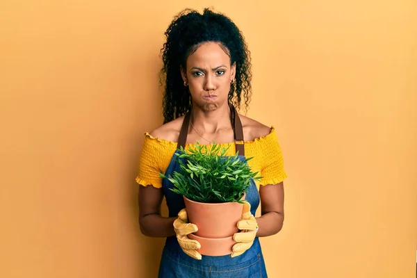 Mulher Americana Africana Meia Idade Segurando Pote Plantas Bochechas Inchadas — Fotografia de Stock