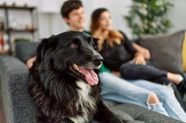 Genç, beyaz bir çift, mutlu bir şekilde gülümsüyor ve evde köpekleriyle koltukta oturuyor..