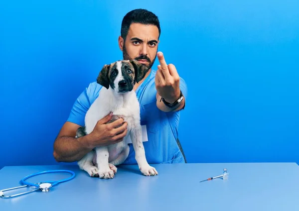 Handsome Hispanic Veterinary Man Beard Checking Dog Health Showing Middle — Foto Stock