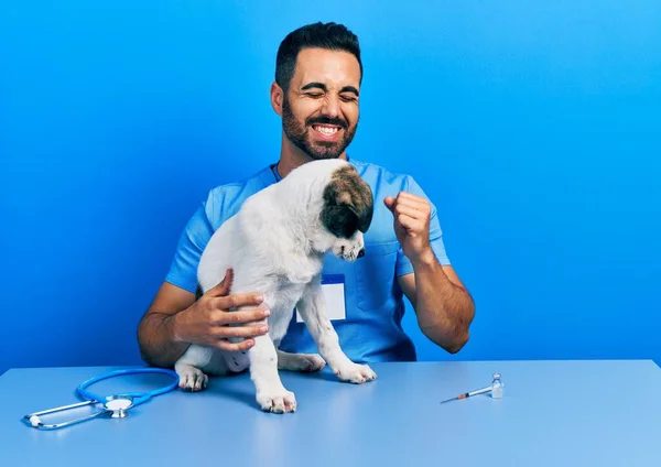 Bonito Homem Veterinário Hispânico Com Barba Verificando Saúde Cão Muito — Fotografia de Stock