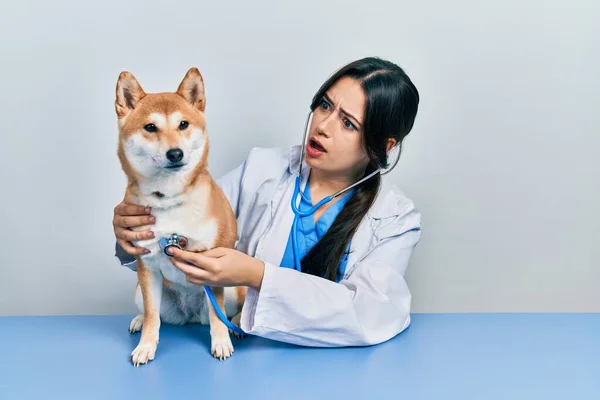 Bella Donna Veterinaria Ispanica Controllare Salute Del Cane Faccia Shock — Foto Stock