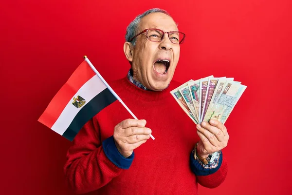 Hombre Mayor Guapo Con Pelo Gris Sosteniendo Bandera Egipcia Billetes —  Fotos de Stock