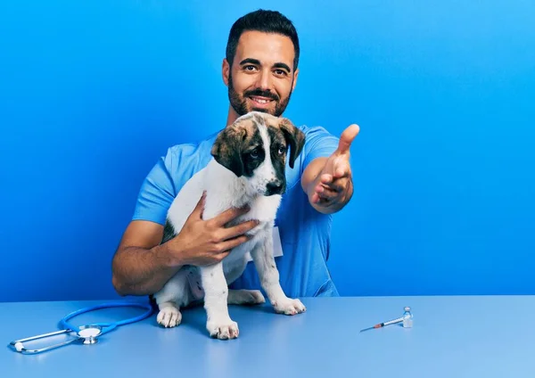 Bello Ispanico Veterinario Uomo Con Barba Controllo Della Salute Del — Foto Stock