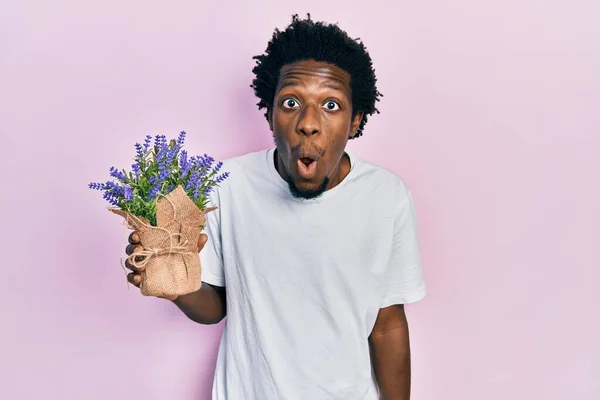 Junger Afrikanisch Amerikanischer Mann Hält Lavendelpflanze Verängstigt Und Erstaunt Mit — Stockfoto