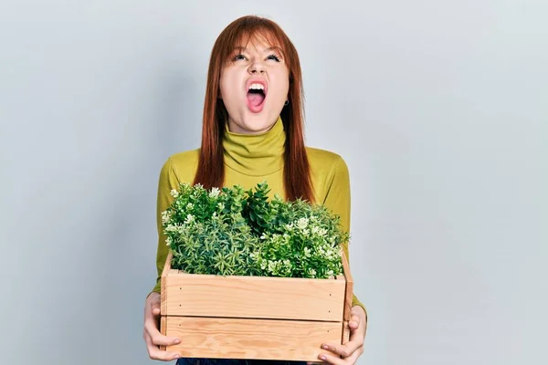 红头发的年轻女人拿着木盆 怒气冲冲地尖叫着 怒气冲冲地大叫着 怒视着 — 图库照片