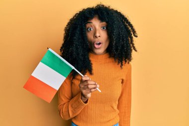 Afro saçlı, elinde İrlanda bayrağı olan Afro-Amerikalı bir kadın ağzı açık kalmış, korkmuş ve hayrete düşmüş. 