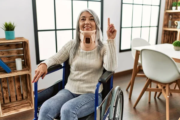 Orta Yaşlı Gri Saçlı Tekerlekli Sandalyede Oturan Tasmalı Bir Kadın — Stok fotoğraf