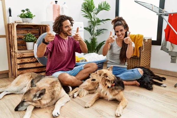 Jovem Casal Hispânico Fazendo Lavanderia Com Cães Apontando Dedos Para — Fotografia de Stock