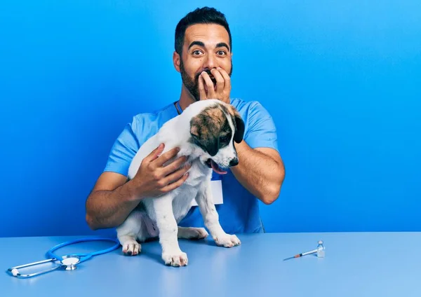 Bello Ispanico Veterinario Uomo Con Barba Controllo Della Salute Del — Foto Stock