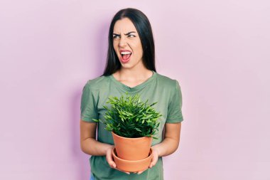 Mavi gözlü güzel bir kadın elinde yeşil saksı, kızgın ve kızgın çığlıklar atan sinirli ve öfkeli, öfkeyle bağıran. öfke ve agresif konsept. 