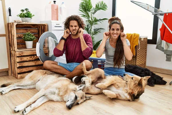 Jovem Casal Hispânico Fazendo Lavanderia Com Cães Cobrindo Orelhas Com — Fotografia de Stock