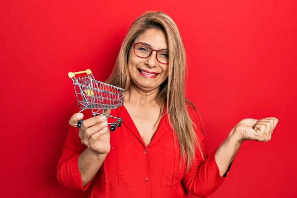 Middle Age Hispanic Woman Holding Small Supermarket Shopping Cart Screaming — Stock Photo, Image