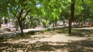 Yeşil ağaçlar, parlak güneş ışığı ve yerdeki gölgelerin doğal bir arka plan için bulanık bir bokeh etkisi yarattığı güzel bir açık hava parkı sahnesi.