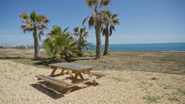 Güneşli bir günde, okyanus kıyısındaki palmiye ağaçlarının altında piknik masası berrak mavi gökyüzü ve uzak deniz manzaralı rahatlatıcı bir açık hava manzarası sergiliyor..