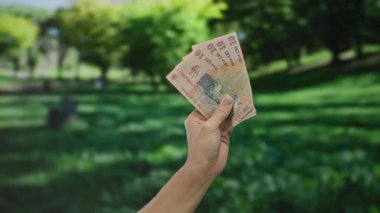 Parkta Romen banknotları tutan adam, yeşil ağaçlara karşı görünen bir erkek eliyle açık havada para vurguluyor..