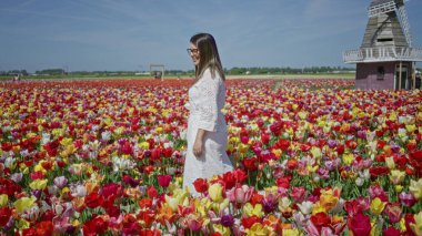 Canlı lale tarlasında güneşli bir günün tadını çıkaran bir kadın. Lisse, Hollanda. Etrafı renkli çiçeklerle ve açık mavi gökyüzüyle çevrili..