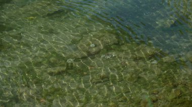 Güneşin altında kayalık nehir yatağından akan berrak su doğal dokuları ve dalgaları vurguluyor. Huzurlu ve huzurlu bir doğa sahnesi yaratıyor..