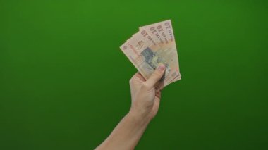 Romen leu banknotlarını canlı yeşil bir geçmişe karşı elinde tutarak, finans ve zenginliğe açık bir şekilde vurgu yapıyor..