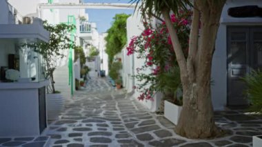 Sığ odaklı bokeh ve yumuşak odak ile Mykonos dar flagstone caddesi; arka plan telif alanı sakin.