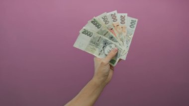 Kafkasyalı bir adam pembe duvarın karşısında Çech Koruna banknotları tutuyor. İzole edilmiş arka planda el ve para birimleri var..
