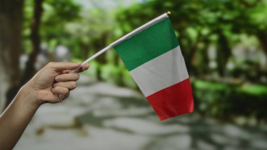 Güneşli bir günde, İtalya 'nın kültürel mirasını ön plana çıkaran yemyeşil ağaçlarla çevrili canlı bir şehir caddesinde el ele tutuşan İtalyan bayrağı ulusal gururunu sergiliyor..