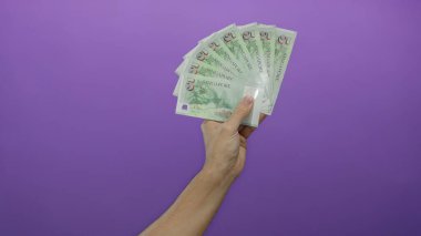 El, mor bir arka plana karşı tekli dolar tutar, açık ve izole bir ayarda para gösterir.