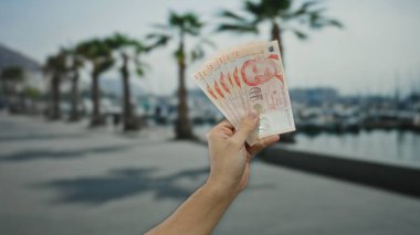 Adam, açık denizcilik ortamında para birimini ön plana çıkaran, tekneli ve palmiye ağaçlı bir deniz kenarı zeminine karşı tekli dolar tutuyor..