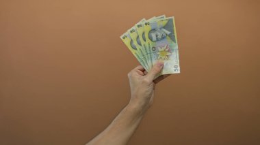 Finansal konuları vurgulayan, kahverengi duvar altyapısı üzerinde Romen lei banknotları tutan beyaz bir adamın eli.