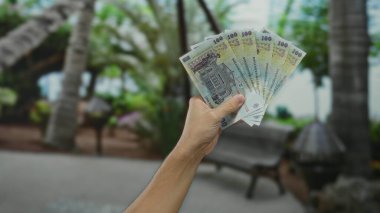 Romen banknotlarını açık havada yeşil bir park ortamında tutan erkek el, arka planda canlı nitelikte finans temaları sergiliyor.