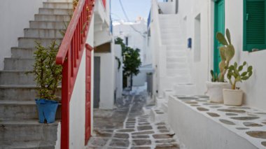 Dar Akdeniz sokağı sığ bokeh, beyazlatılmış basamaklar, taş patika ve saksı kaktüsü ile bulanıklaştırıldı; arkaplan telif alanı, sakin.