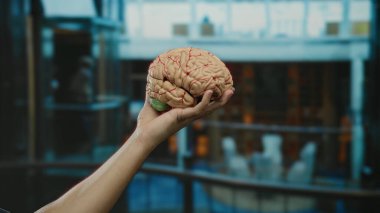Otelde gerçekçi bir beyin modelini tutan adam eğitim ve bilimsel ortamlarda detaylı insan anatomisine odaklanıyor..