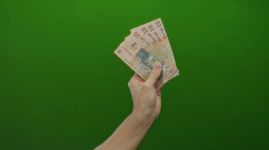 Romen leu banknotlarını canlı yeşil bir geçmişe karşı elinde tutarak, finans ve zenginliğe açık bir şekilde vurgu yapıyor..