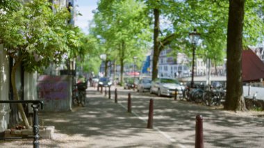 Amsterdam caddesinde bulanık ağaçlar, kaldırımlar ve kanallar huzurlu bir şehirde arabaların yanına parketmiş bisikletlerle sakin bir kentsel bokeh etkisi yaratıyor..