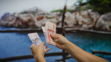 İsveç Krona 'yı deniz kenarında tutan adam, yaz tatilinde finansal anlaşmaların özünü somutlaştırıyor..