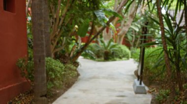 Lüks bir açık hava beldesindeki bulanık tropikal yol yemyeşil bitkiler ve canlı yeşilliklerle çevrili, sakin ve egzotik bir tatil atmosferi yaratıyor..