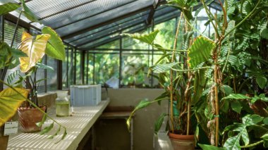 Yumuşak bokeh ve sığ odak, iç; arkaplan telif alanı sakin.