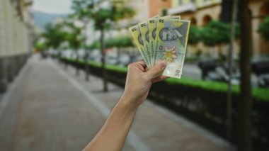 Elinde Romen leu banknotları tutan bir adam şehir sokaklarında açık havada yerel para sergiliyor. Arka planda bulanıklık var ve ağaçlar yolu kapatıyor..